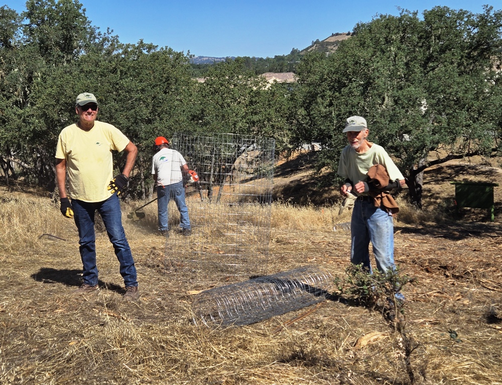 Carl, Cory and John - weeding and preparing browse cages